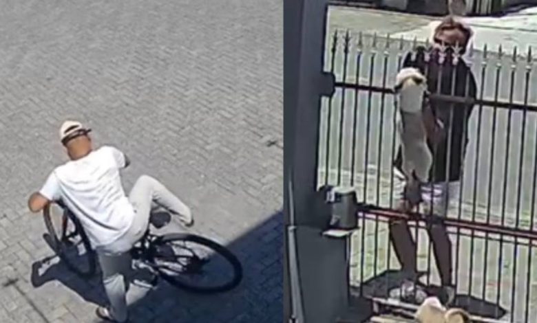 Após dizer que “vigia hackers”, homem que furtou bikes e cães em Timbó tem prisão em flagrante convertida