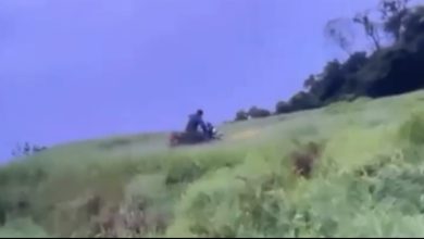 Vídeos nas redes sociais revelam vandalismo em área rural de SC