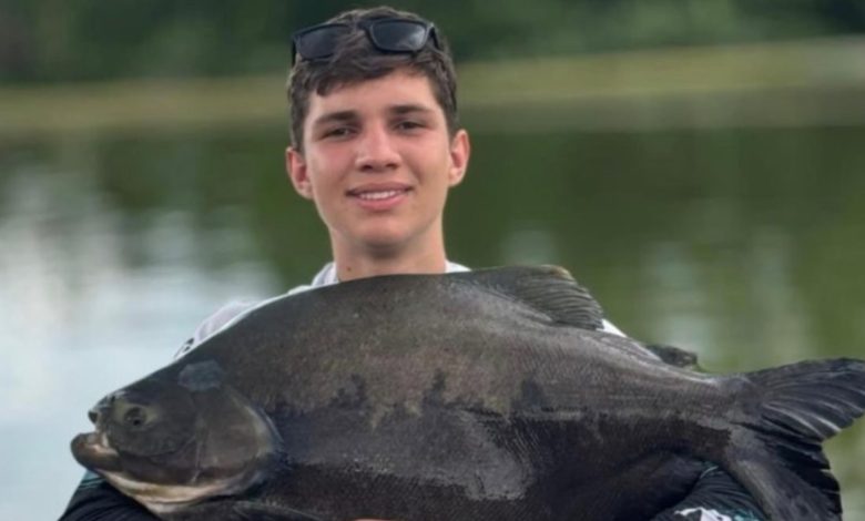 Jovem de 18 anos morre após carro sair da pista e cair em ribanceira em Presidente Getúlio