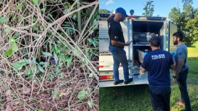 Adolescente que desapareceu após sair para assistir aos fogos da virada é encontrado morto em SC