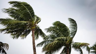 Frente fria provoca ventos intensos e eleva risco de danos em Santa Catarina neste sábado
