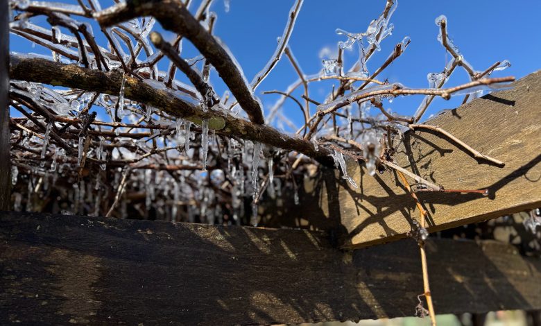 Temperaturas próximas de zero marcam a primeira geada do ano em Santa Catarina