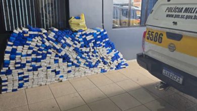 Mais de 17,6 toneladas de maconha são apreendidas nas rodovias estaduais de SC em 2025