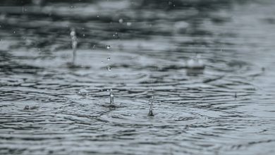 Temporais persistem em Santa Catarina e elevam risco de alagamentos e ventos fortes no Vale do Itajaí e Litoral Norte
