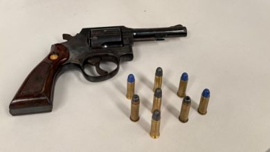 Investigado por violência doméstica, homem que feriu vítima na cabeça tem arma apreendida em Gaspar