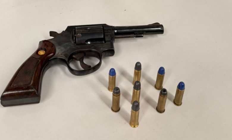 Investigado por violência doméstica, homem que feriu vítima na cabeça tem arma apreendida em Gaspar