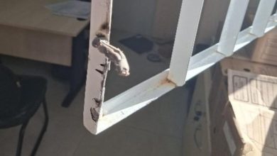 Furto em clínica mobiliza a Polícia Militar no Bairro das Nações, em Indaial