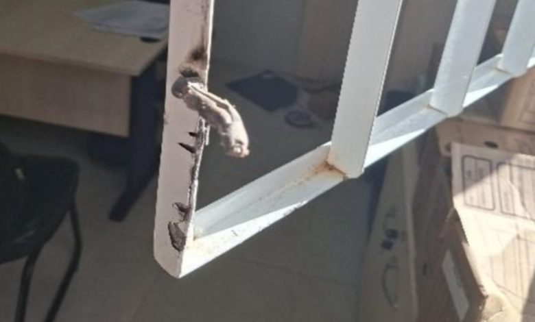 Furto em clínica mobiliza a Polícia Militar no Bairro das Nações, em Indaial