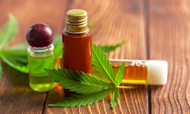 Produção de cannabis medicinal passa a ser permitida no Brasil após novas regras da Anvisa