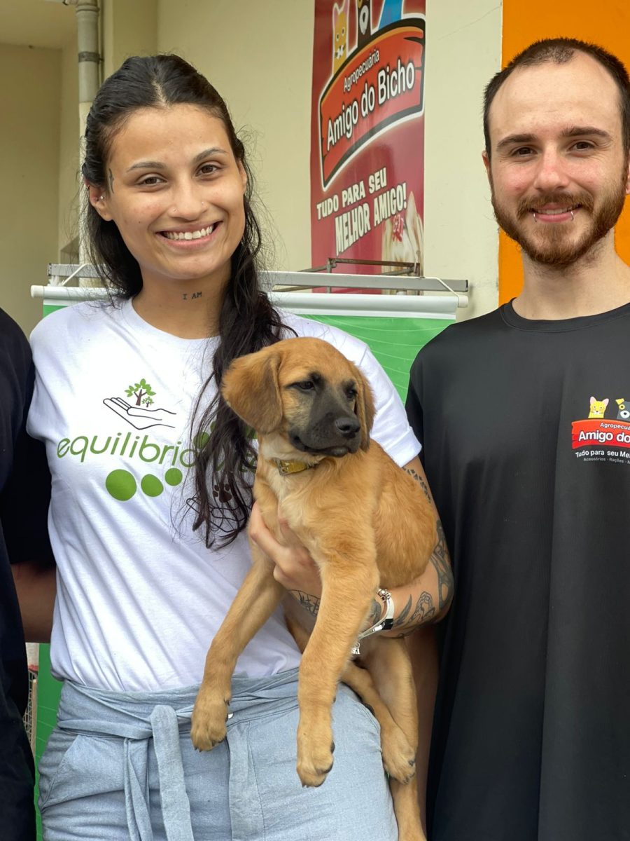 Feirinha Beneficente Amigo do Bicho chega à 14ª edição com programação ampliada e expectativa de grande público