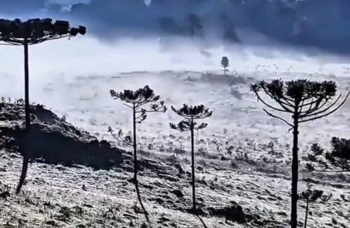 Frio fora de época e temperaturas baixas marcam o início de 2026 com geada na Serra Catarinense