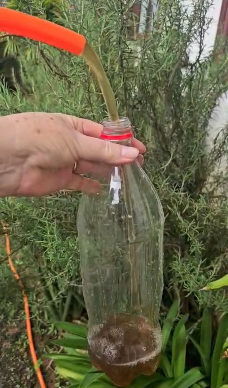 “Não é de hoje”: moradores denunciam água suja após vazamentos na rede em Timbó