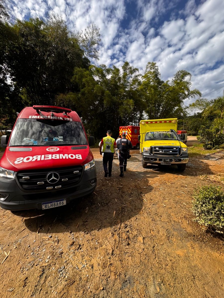 Ataque de abelhas deixa servidor da Prefeitura de Timbó em estado grave durante roçagem