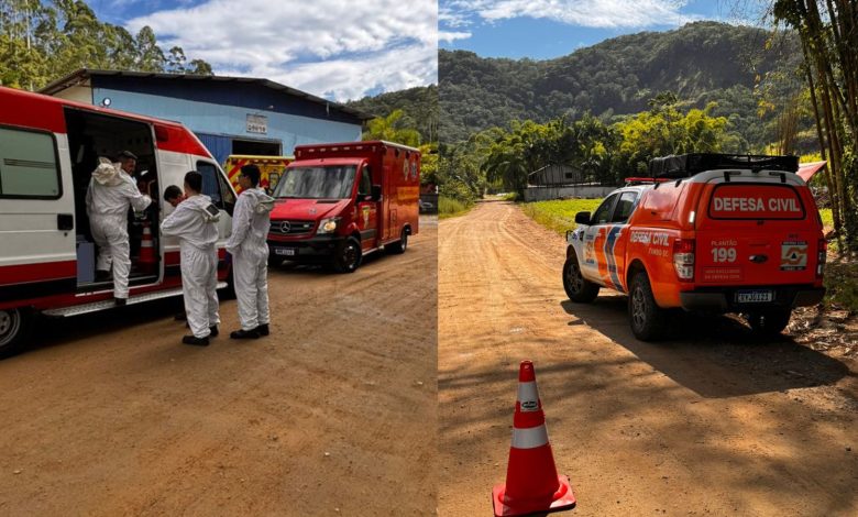 Ataque de abelhas deixa funcionário da Prefeitura de Timbó em estado grave durante roçagem
