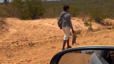 Menino é flagrado carregando tatu para se alimentar e motorista tem atitude solidária