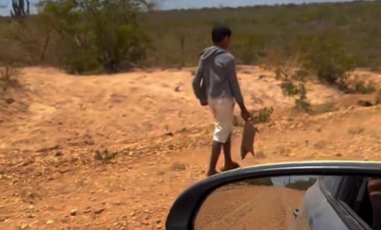Menino é flagrado carregando tatu para se alimentar e motorista tem atitude solidária