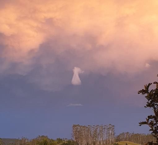 Fenômeno no céu: nuvem em formato de anjo chama atenção no Vale do Itajaí
