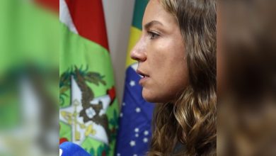 Além da morte do cão Orelha, celulares são analisados e polícia apura possíveis atos infracionais de adolescentes