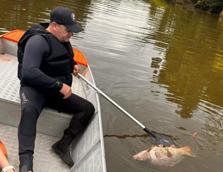 Defesa Civil aciona órgãos ambientais após denúncias de contaminação no Rio Benedito, em Timbó