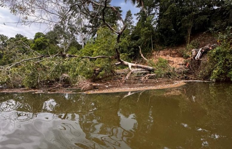 Defesa Civil aciona órgãos ambientais após denúncias de contaminação no Rio Benedito, em Timbó