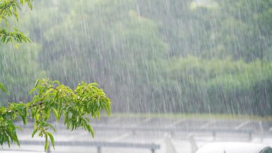 SC entra em alerta da Defesa Civil na semana de Carnaval, com risco de temporais entre 15 e 17 de fevereiro