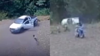 Gêmeos escapam de carro desgovernado e atitude do pai emociona a web