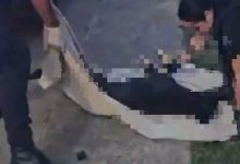 Homem é preso e adolescentes são apreendidos após cachorro ser arremessado de prédio, em Itajaí