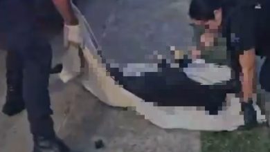 Homem é preso e adolescentes são apreendidos após cachorro ser arremessado de prédio, em Itajaí