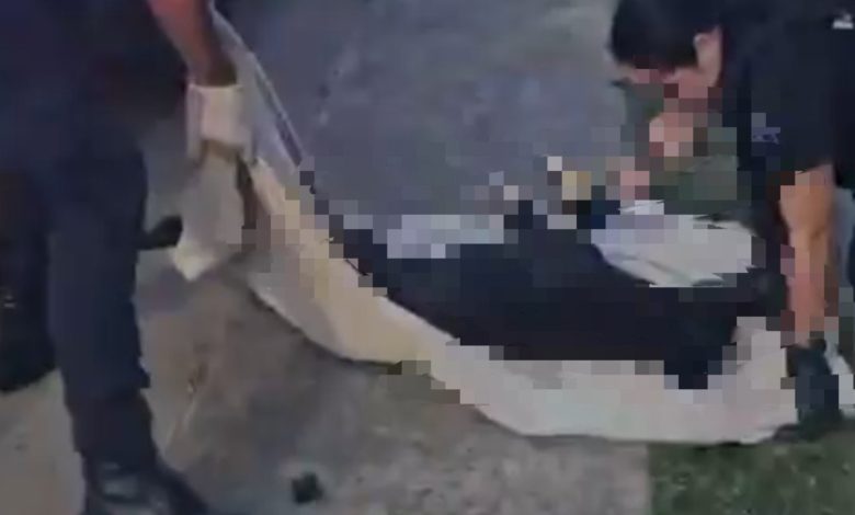 Homem é preso e adolescentes são apreendidos após cachorro ser arremessado de prédio, em Itajaí