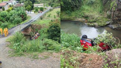 Em Rio do Sul, condutor é atacado por abelhas após sofrer acidente de carro