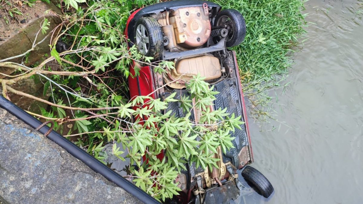 Em Rio do Sul, condutor é atacado por abelhas após sofrer acidente de carro