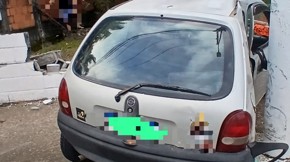 Motorista abandona veículo após colisão contra poste na BR-470, em Apiúna