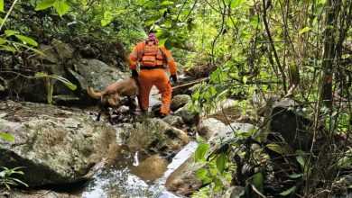 Bombeiros encontram corpo de homem desaparecido em riacho de difícil acesso, em Pomerode 