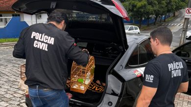 Suspeito de aplicar golpe com falsa assessoria empresarial em Blumenau é alvo de operação
