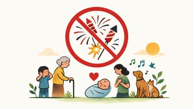 Alesc aprova projeto que proíbe fogos de artifício com estampido em Santa Catarina