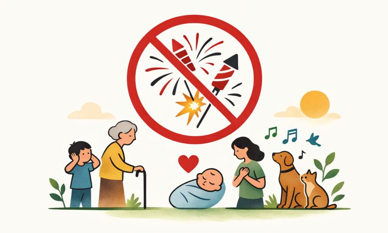 Alesc aprova projeto que proíbe fogos de artifício com estampido em Santa Catarina
