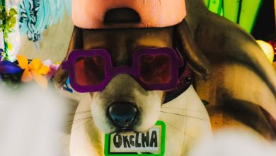 Cão Orelha é homenageado em desfile no Carnaval e vira símbolo contra maus-tratos