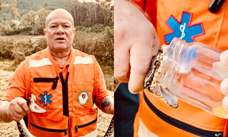 Instrutor de Ascurra ensina técnicas de manejo de serpentes e alerta: conhecimento salva vidas