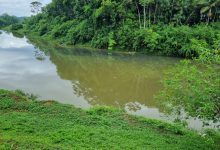 Mancha escura no Rio Benedito, em Timbó, chama a atenção de moradores e mobiliza a Defesa Civil