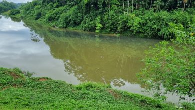 Mancha escura no Rio Benedito, em Timbó, chama a atenção de moradores e mobiliza a Defesa Civil