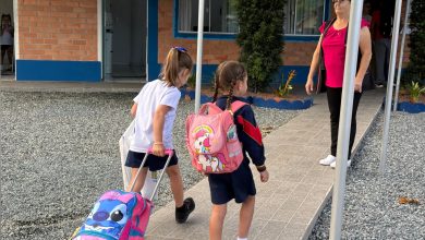 Timbó alcança Selo Ouro 2025 e se destaca na alfabetização infantil