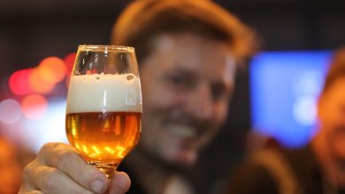 Blumenau reúne tradição, inovação e experiências com o 17º Festival Brasileiro da Cerveja