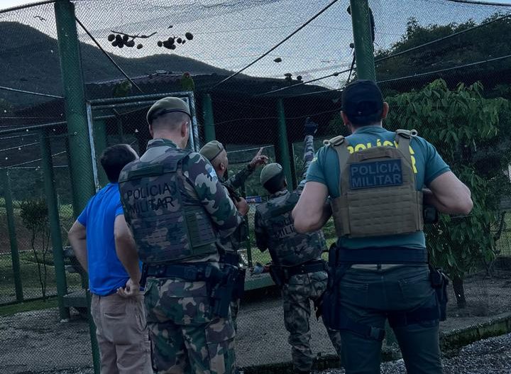 Operação Aruana do GAECO mira rede de tráfico de animais e cumpre mandados em Timbó e Indaial
