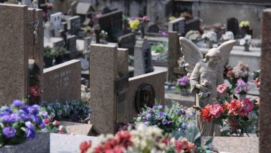 Proposta de vereador busca permitir sepultamento de pets junto aos tutores em cemitérios de Blumenau