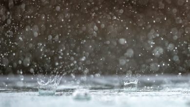 Vai chover até quando? Veja a previsão para os próximos dias em SC