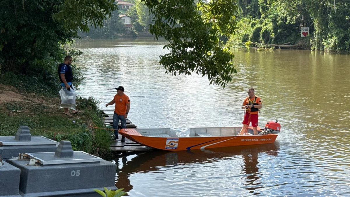 Timbó aposta em repovoamento para recuperar o Rio Benedito e realiza soltura de 30 mil peixes