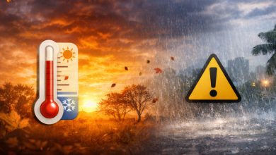Outono deve ter temperaturas acima da média e chuva irregular em Santa Catarina