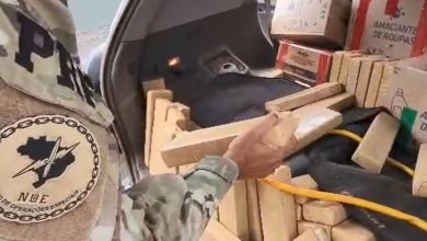 PRF intercepta veículo na BR-101 e apreende 657 quilos de maconha em SC