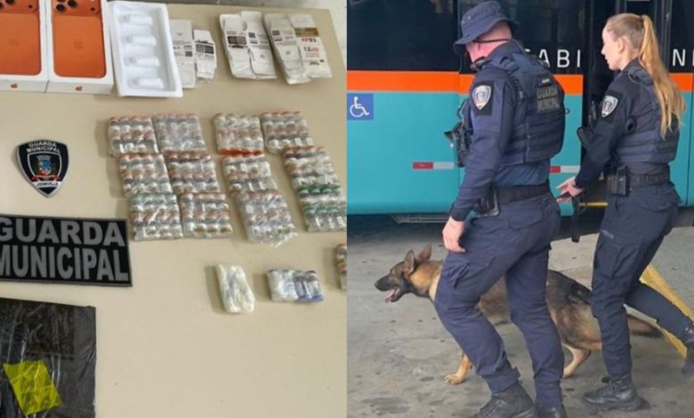 Homem é detido após ser pego com 111 ampolas de Mounjaro contrabandeadas do Paraguai SC