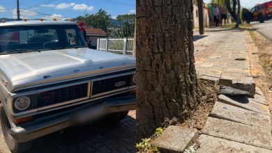 Motociclista fica gravemente ferido após colisão contra carro e árvore em Timbó